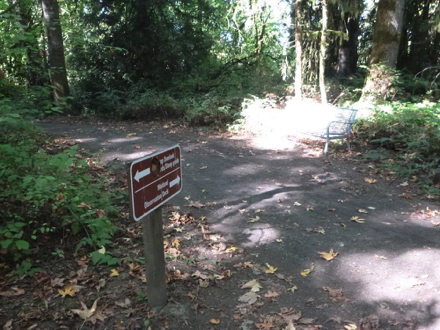 Year-round trail with bench leads to Wetland Observation Deck - junction to Ridgetop Spur - grade of 20-25%
